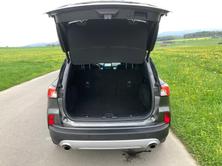 FORD Kuga 2.5 FHEV Titanium X 4WD, Hybride Intégral Essence/Électricité, Occasion / Utilisé, Automatique - 6
