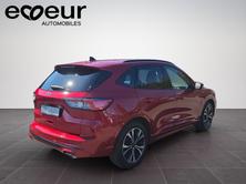 FORD Kuga 2.0 EcoBlue ST-Line X 4x4, Diesel, Occasioni / Usate, Automatico - 6