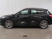 FORD Kuga 2.0 EcoBlue ST-Line, Diesel, Occasioni / Usate, Automatico - 5