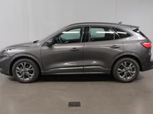 FORD Kuga 2.0 EcoBlue ST-Line, Diesel, Occasioni / Usate, Automatico - 5