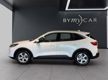 FORD Kuga 2.0 TDCi EcoBlue Titanium 4WD, Diesel, Occasioni / Usate, Automatico - 3