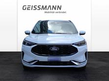FORD Kuga 2.5 Hybrid ST-Line X 4x4, Hybride Integrale Benzina/Elettrica, Occasioni / Usate, Automatico - 5