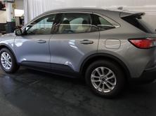 FORD Kuga 2.0 EcoBlue Titanium 4x4, Diesel, Occasioni / Usate, Automatico - 2