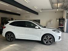 FORD Kuga 2.0 TDCi EcoBlue ST-Line X 4WD, Diesel, Occasion / Gebraucht, Automatik - 6