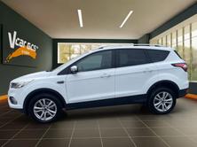 FORD Kuga 2.0 TDCi Vignale 4WD PowerShift, Diesel, Occasion / Gebraucht, Automatik - 2