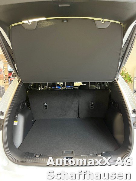 FORD Kuga 2.0 EcoBlue ST-Line 4x4, Diesel, Vorführwagen, Automatik - 5