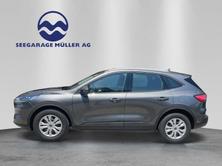 FORD Kuga 2.0 EcoBlue Cool & Connect 4x4, Diesel, Auto nuove, Automatico - 3
