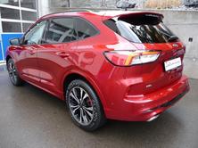 FORD Kuga 2.0 TDCi EcoBlue ST-Line X 4WD, Diesel, Auto nuove, Automatico - 2