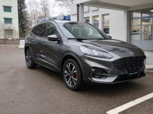 FORD Kuga 2.0 EcoBlue ST-Line X 4x4, Diesel, Auto nuove, Automatico - 2