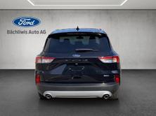 FORD Kuga 2.5 Hybrid Titanium X 4x4, Full-Hybrid Petrol/Electric, New car, Automatic - 4