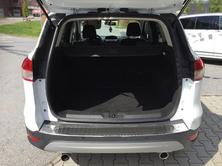 FORD Kuga 2.0 TDCi Carving 4WD, Diesel, Occasioni / Usate, Manuale - 6