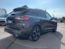FORD Kuga 2.0 TDCi EcoBlue ST-Line X 4WD, Diesel, Occasioni / Usate, Automatico - 4