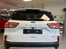 FORD Kuga 2.0 EcoBlue MHEV Titanium X, Hybride Leggero Diesel/Elettrica, Occasioni / Usate, Manuale - 5