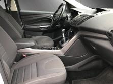 FORD Kuga 2.0 TDCi 140 Carving 4x4, Diesel, Occasioni / Usate, Manuale - 7