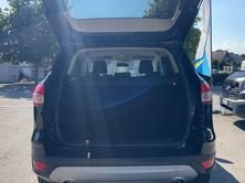 FORD Kuga 2.0 TDCi 140 Carving 2WD, Diesel, Occasioni / Usate, Manuale - 5