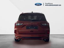 FORD Kuga 2.0 EcoBlue ST-Line X 4x4, Diesel, Occasioni / Usate, Automatico - 5