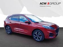 FORD Kuga 2.0 EcoBlue ST-Line X 4x4, Diesel, Occasioni / Usate, Automatico - 7