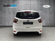 FORD Kuga ST-LINE 2.0 TDCi 150 AWD, Diesel, Occasioni / Usate, Automatico - 6