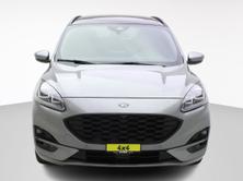FORD KUGA 2.0 EcoBlue ST-Line X 4x4, Diesel, Occasioni / Usate, Automatico - 5