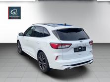 FORD Kuga 1.5 TDCi ST-Line 2WD Automat, Diesel, Occasioni / Usate, Automatico - 3