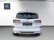 FORD Kuga 1.5 TDCi ST-Line 2WD Automat, Diesel, Occasioni / Usate, Automatico - 6