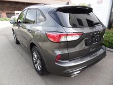 FORD Kuga 2.5 FHEV ST-Line 4WD, Occasioni / Usate, Automatico - 3