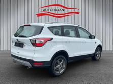 FORD Kuga 2.0 TDCi Business 4*4, Diesel, Occasion / Gebraucht, Automat - 5