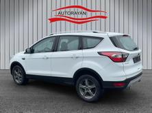 FORD Kuga 2.0 TDCi Business 4*4, Diesel, Occasion / Gebraucht, Automat - 6
