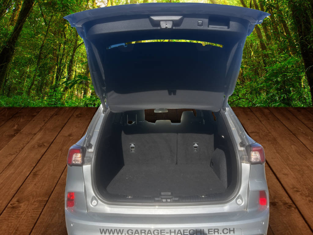 FORD Kuga 2.5 Plug-in Hybrid ST-Line X, Plug-in-Hybrid Petrol/Electric, Ex-demonstrator, Automatic - 5