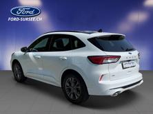 FORD Kuga 2.0 EcoBlue 120 PS ST-Line X 4x4 AUTOMAT, Diesel, Auto dimostrativa, Automatico - 3