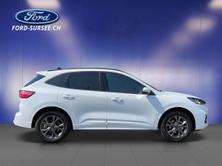 FORD Kuga 2.0 EcoBlue 120 PS ST-Line X 4x4 AUTOMAT, Diesel, Ex-demonstrator, Automatic - 5