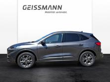 FORD Kuga 2.5 Hybrid ST-Line 4x4, Voll-Hybrid Benzin/Elektro, Vorführwagen, Automat - 2