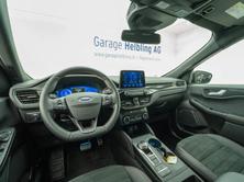 FORD KUGA 2,0 EcoBlue ST-Line X 4x4, Diesel, Occasioni / Usate, Automatico - 7