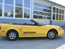 FORD Cabriolet, Benzin, Occasion / Gebraucht, Handschaltung - 4