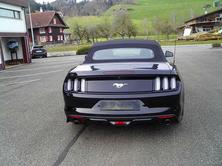 FORD Mustang Convertible 5.0 V8 GT, Essence, Occasion / Utilisé, Automatique - 4
