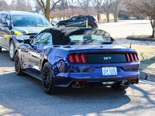 FORD Mustang Convertible 5.0 V8 GT, Benzina, Occasioni / Usate, Manuale - 5