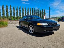 FORD GT, Benzina, Occasioni / Usate, Automatico - 3