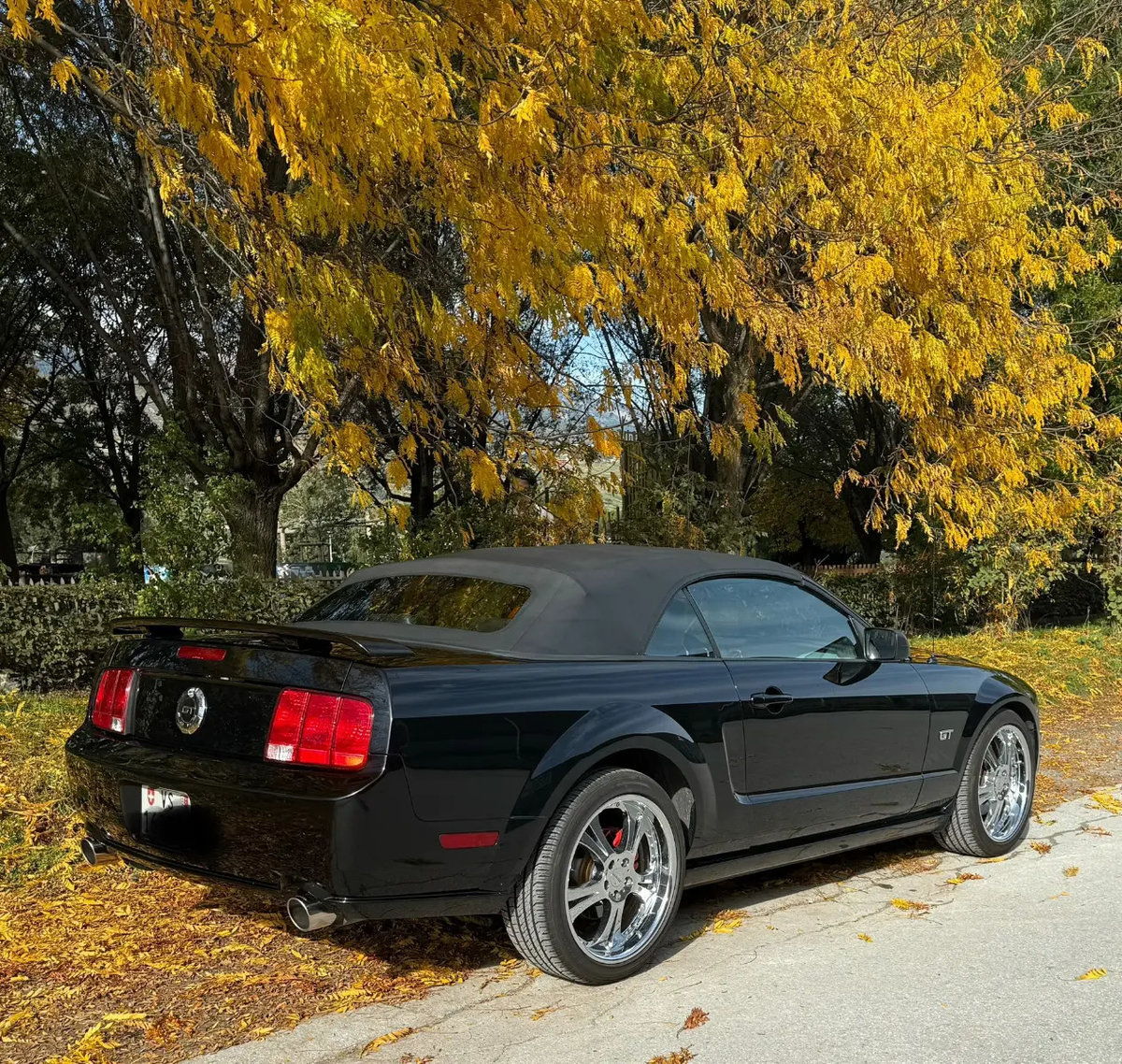 FORD MUSTANG GT, Benzina, Occasioni / Usate, Automatico - 2