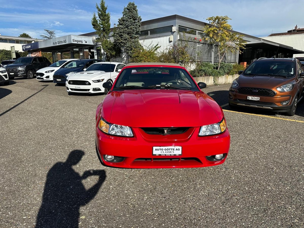 FORD Mustang Cobra Cabrio, Second hand / Used - 3