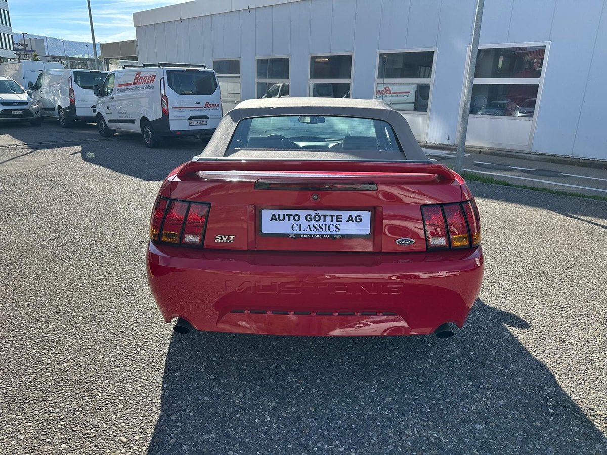 FORD Mustang Cobra Cabrio, Second hand / Used - 6