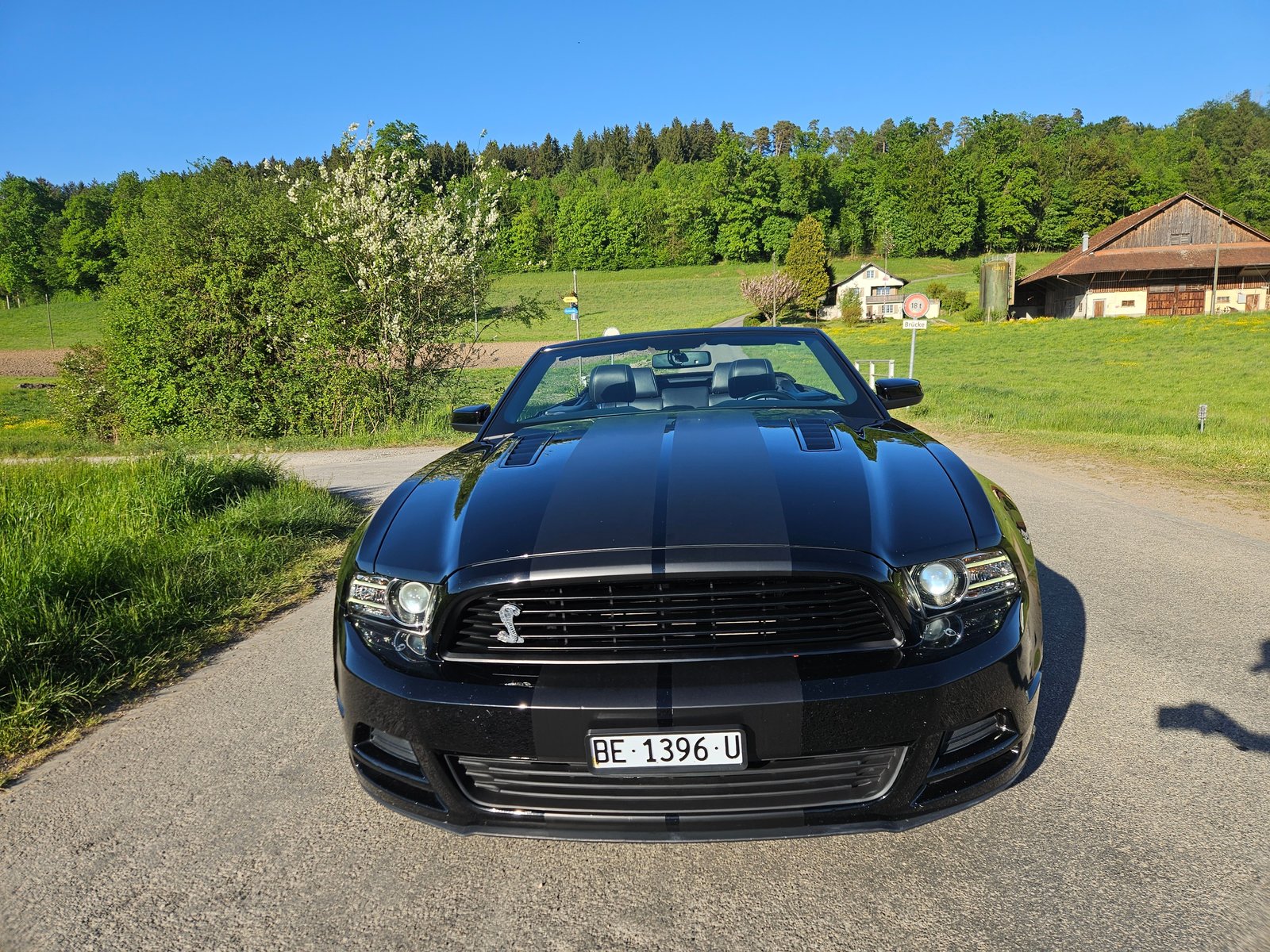 FORD Mustang GT 5.0 Manual