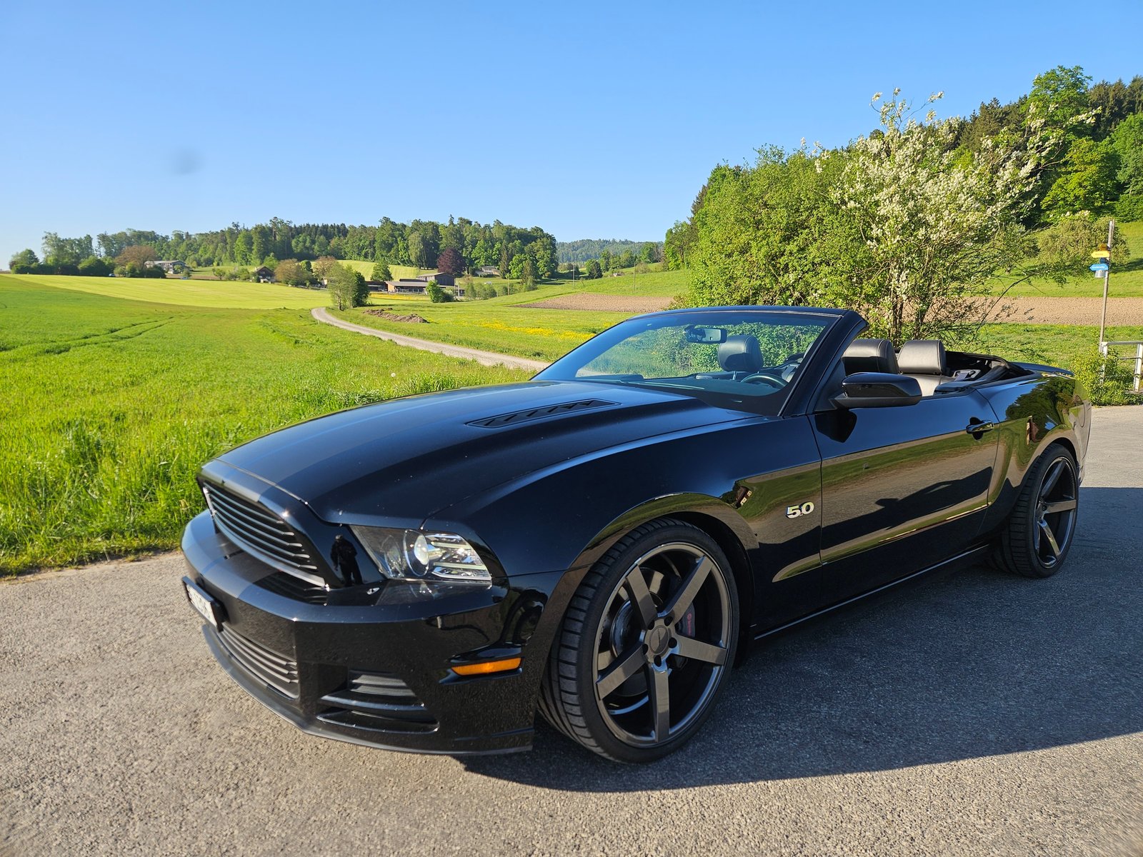 FORD Mustang GT 5.0 Manual, Benzin, Occasion / Gebraucht, Handschaltung - 3