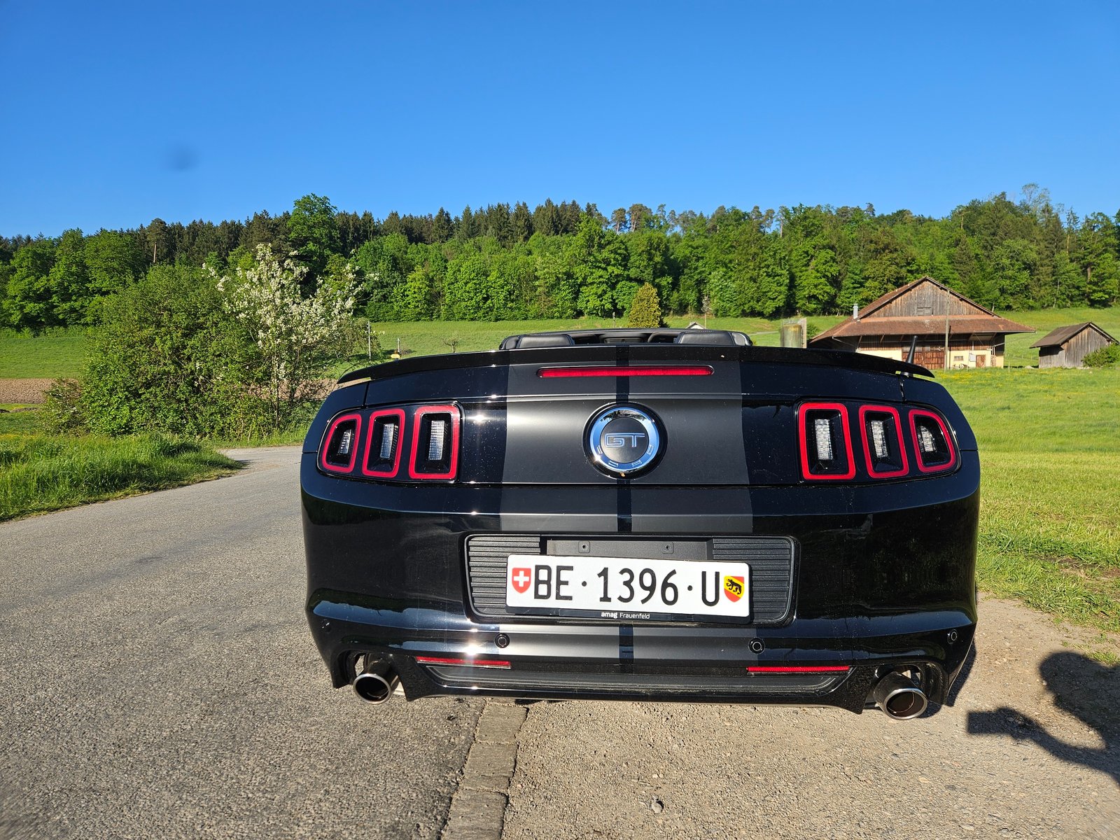 FORD Mustang GT 5.0 Manual, Benzin, Occasion / Gebraucht, Handschaltung - 5