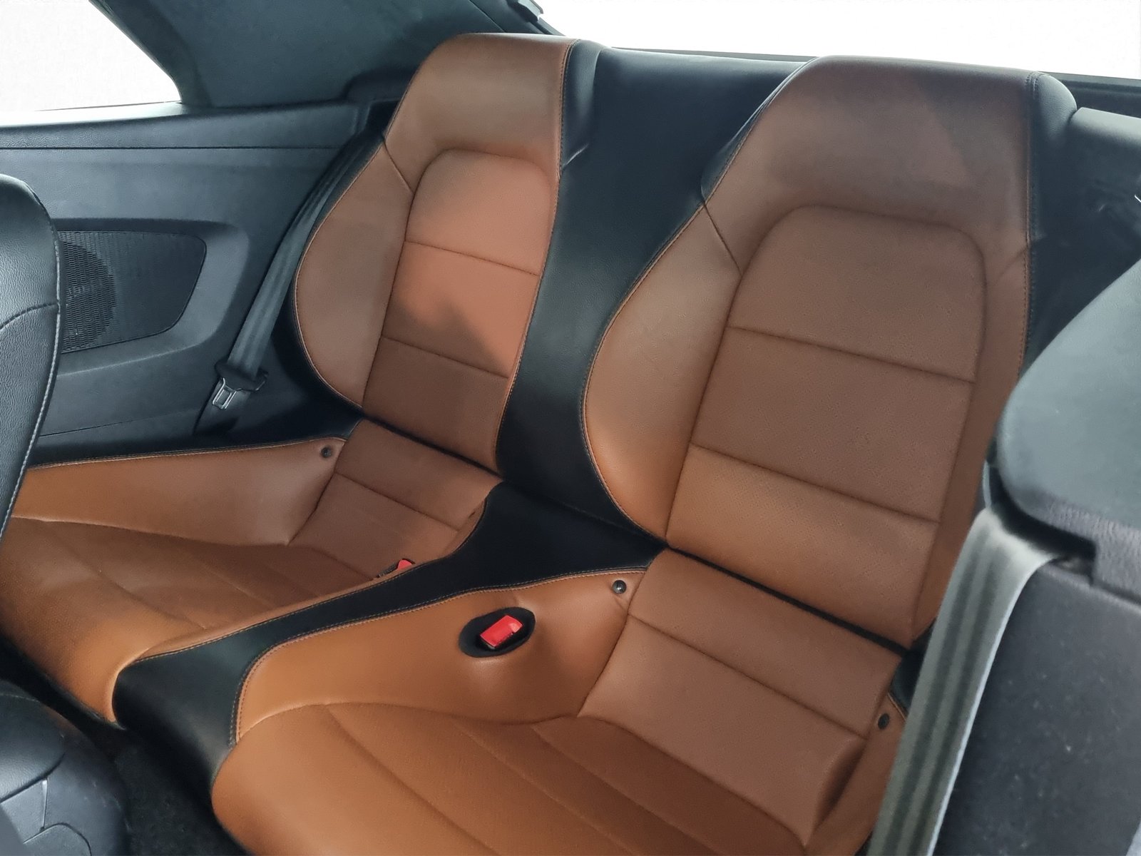 FORD Mustang 5.0 GT V8 Cabrio, Essence, Occasion / Utilisé, Automatique - 7