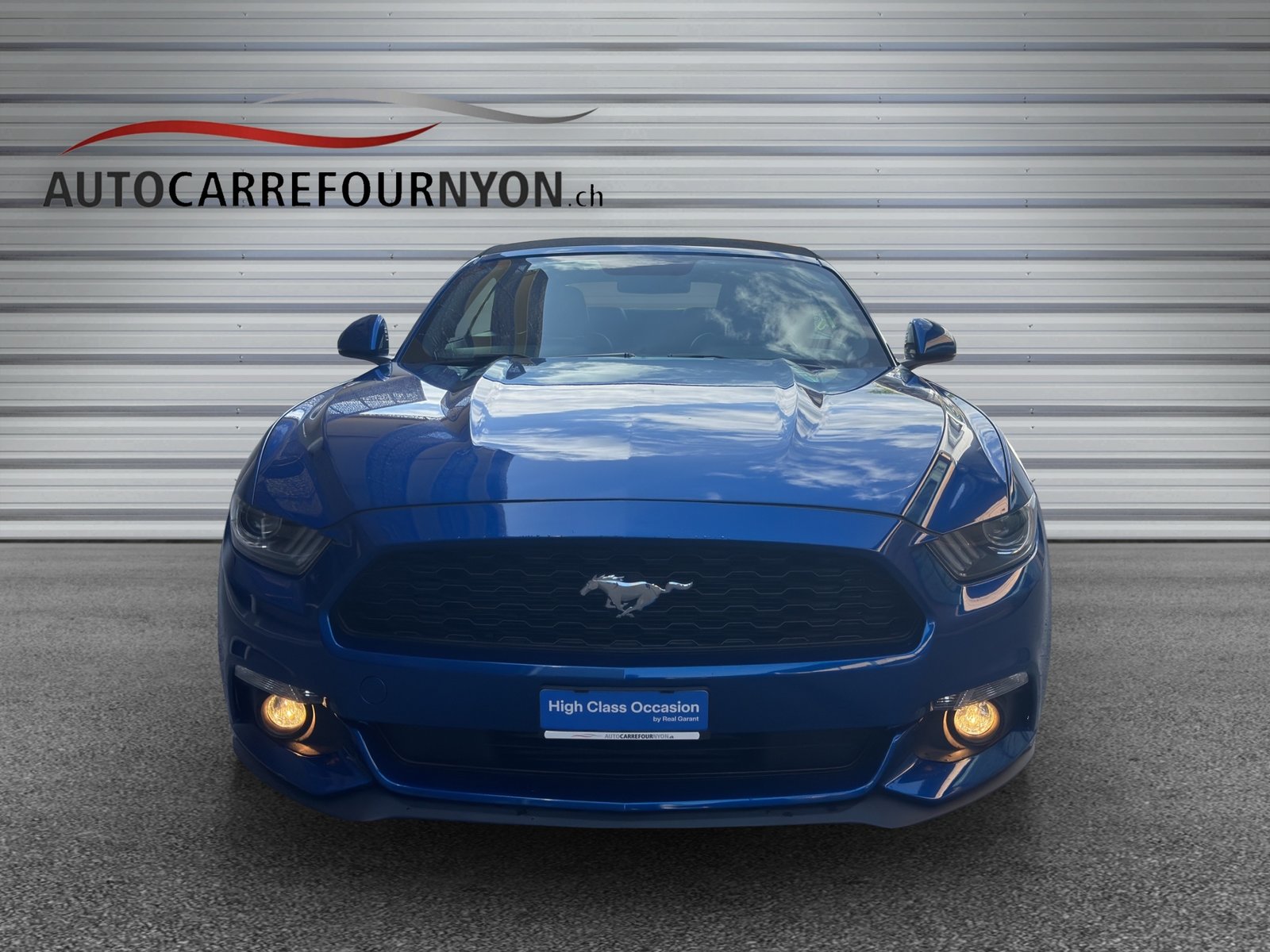 FORD Mustang Convertible 2.3, Benzin, Occasion / Gebraucht, Handschaltung - 2