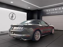 FORD Mustang Convertible 5.0 V8 GT Automat, Essence, Occasion / Utilisé, Automatique - 5