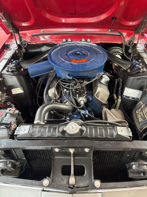 FORD MUSTANG x, Benzin, Occasion / Gebraucht, Handschaltung - 4