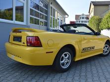 FORD Cabriolet, Benzin, Occasion / Gebraucht, Handschaltung - 3