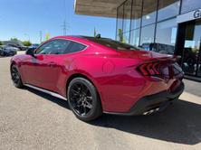 FORD Mustang Fastback 5.0 V8 GT Automat, Essence, Voiture nouvelle, Automatique - 5