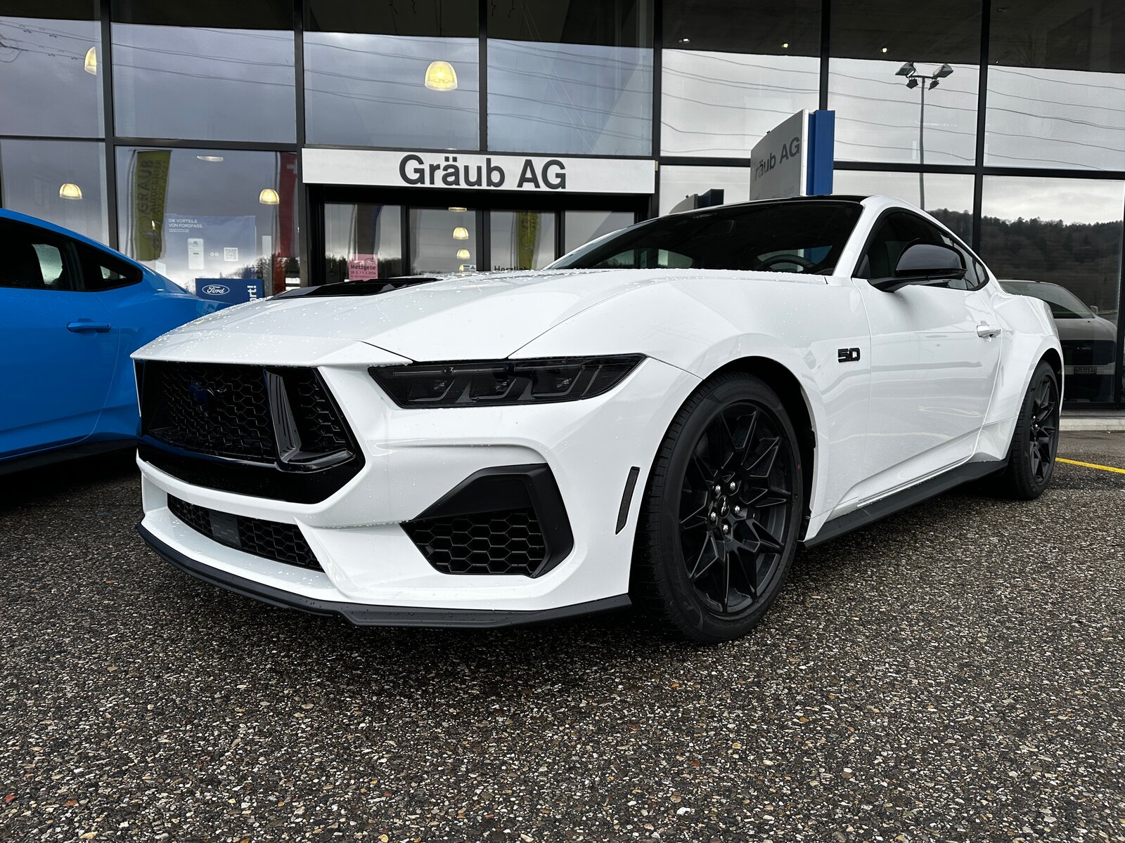 FORD Mustang Fastback 5.0 V8 GT Automat NITE PONY BLACK-PACK